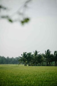 Terreno Residencial en Conkal, Mérida